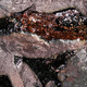 Illustration for article titled Lava Caves Filled with the Most Beautiful Excrement in the World